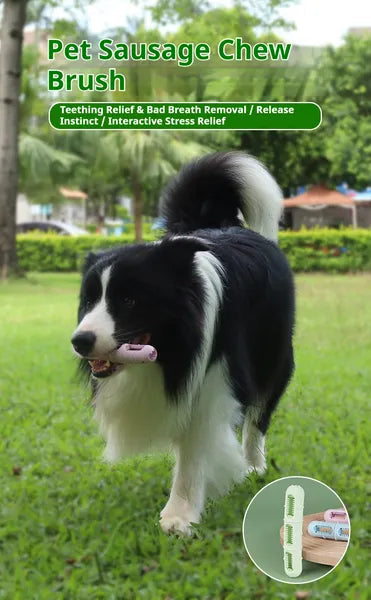 Brinquedo Dental Salsicha SmartPaw – Escova Mastigável