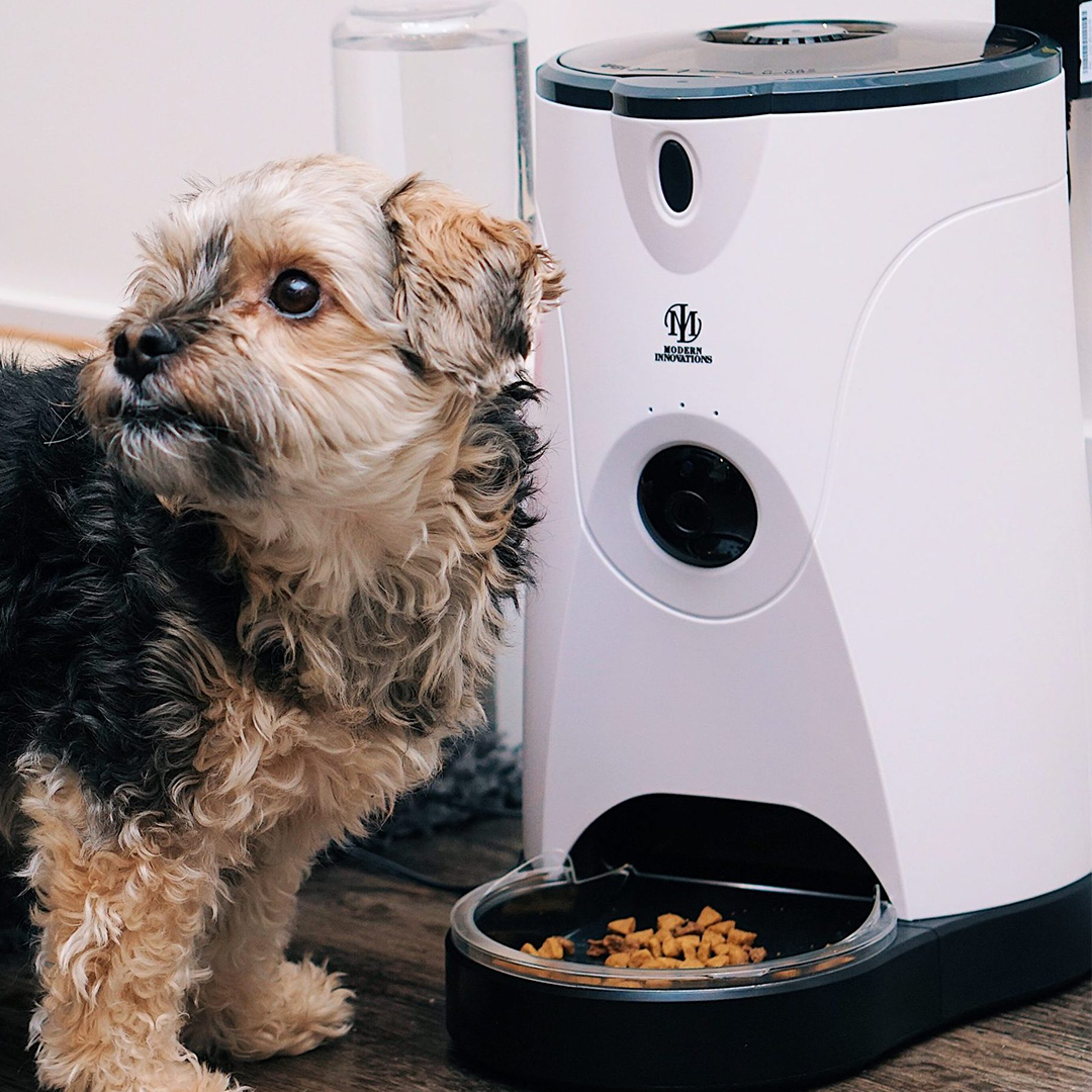 Alimentador SmartPaw Connect – WiFi, Câmara e Voz